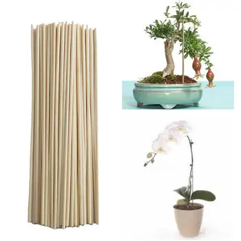 50pcs Natūralaus Bambuko Statymų Augalų Augimo statramstis 