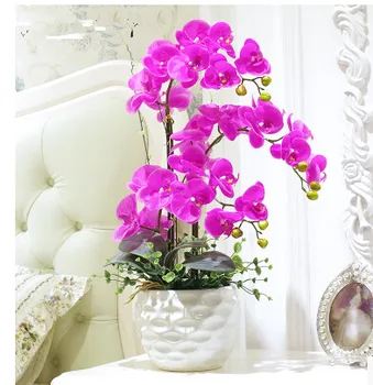modeliavimas Phalaenopsis gėlės, gėlių dekoras apdailos kambarys nustatyti patalpų vazoninių orchidėjos