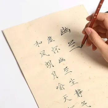 Shoujinti Ryžių Popieriaus Copybook Kinų Kaligrafijos Teptuku Copybook 80sheets Daina Huizong Kaligrafija Sekimo Xuan Popieriaus Copybook